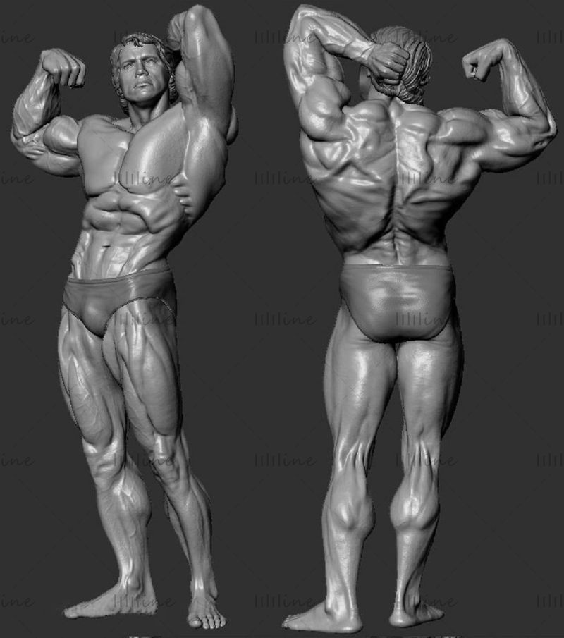 Arnold Schwarzenegger Modelo 3D Listo para imprimir Modelo de impresión 3D