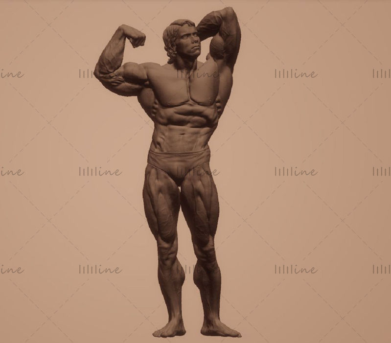 Arnold Schwarzenegger Modelo 3D Listo para imprimir Modelo de impresión 3D