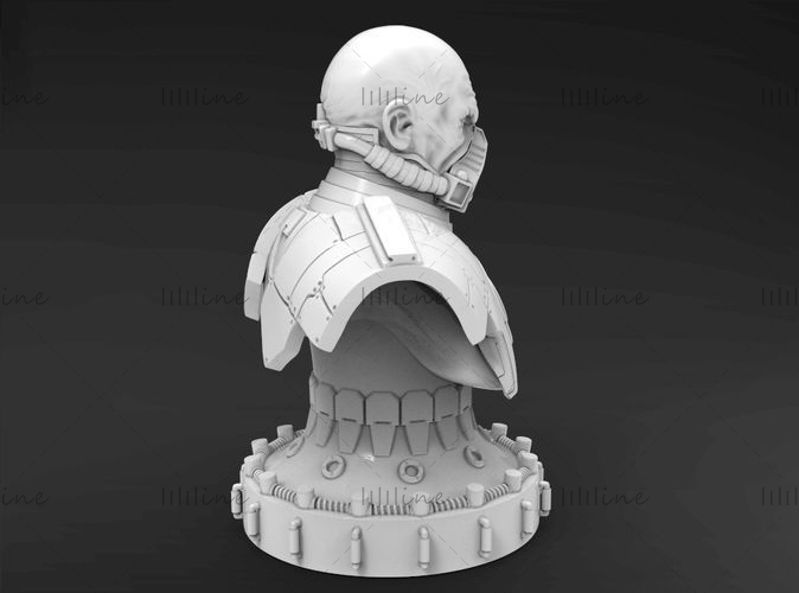 Busto de Malgus modelo 3D para impresión 3D modelo de impresión 3D