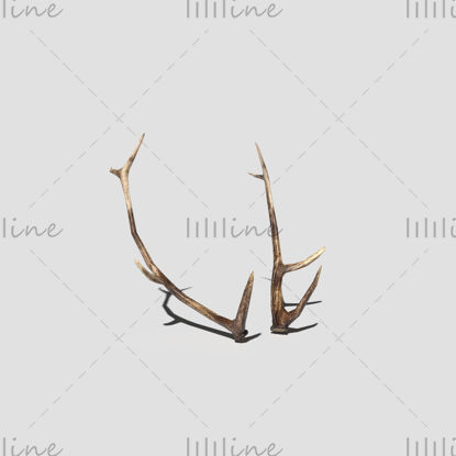 Antlers model 3d
