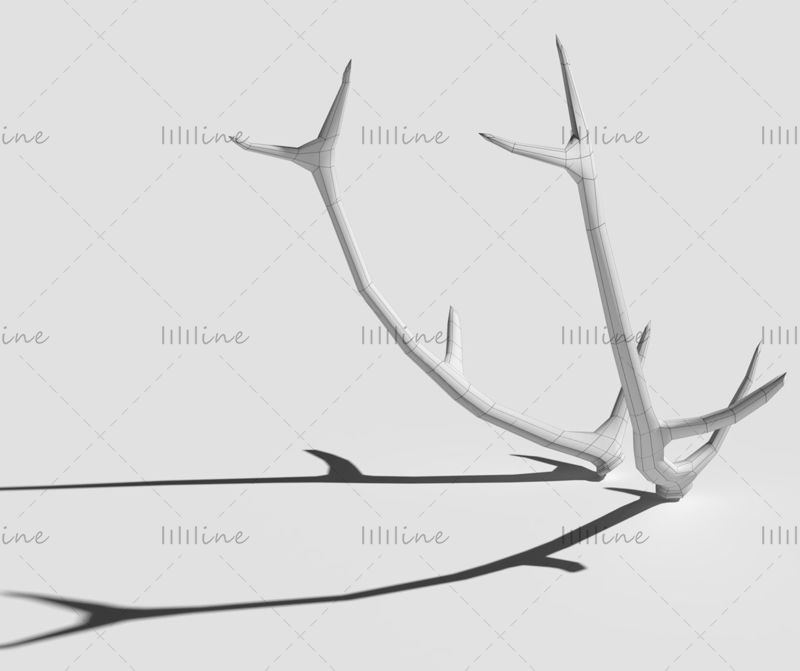Antlers 3d model