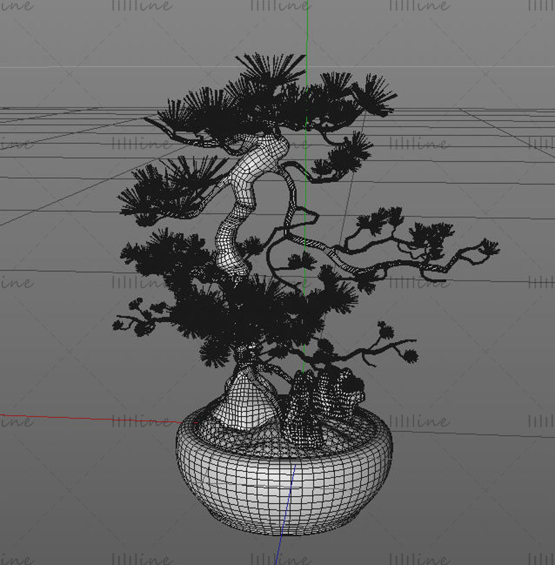 Traditionele Chinese stijl groene aanplant bonsai dennenboom 3D-model