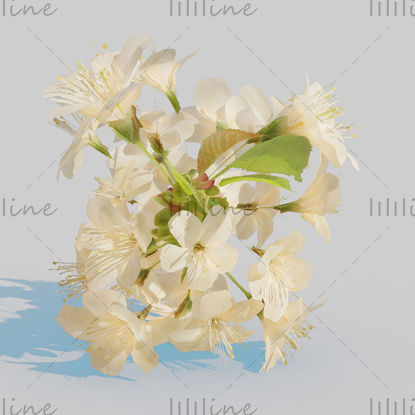 Paquete de flores de cerezo modelo 3D