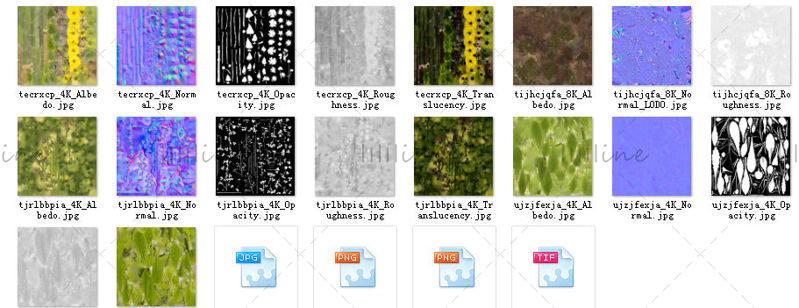 Vários formatos c4d planta essência garrafa modelo 3d modelo de garrafa de vidro cena de paisagem de planta ao ar livre