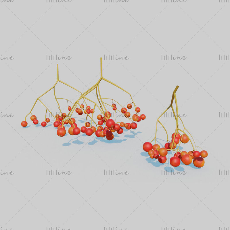 花楸树果实水果3D模型