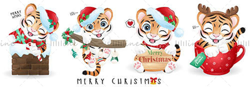 Aranyos karácsonyi kis tigris