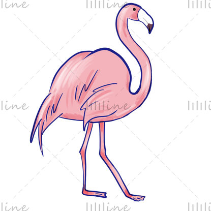 Pink flamingo cartoon hand drawn