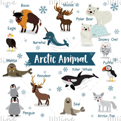 Animal arctic din desene animate
