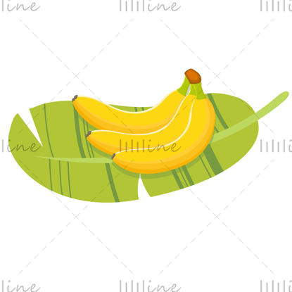 Vector de plátano