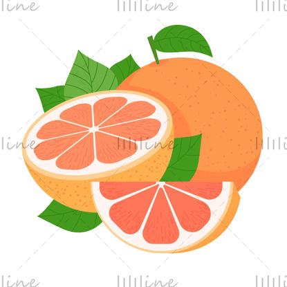 كارتون المتجهات البرتقالية