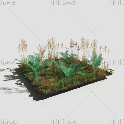 Fern Meadow Patch Model 3D