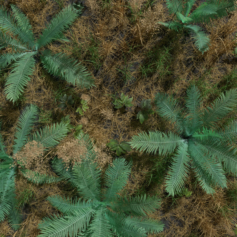 蕨类草甸草皮植物3D模型