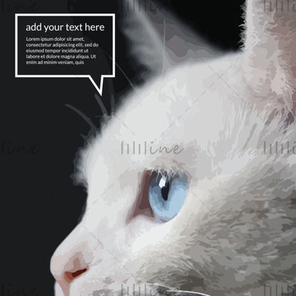 white cat with blue eyes black background