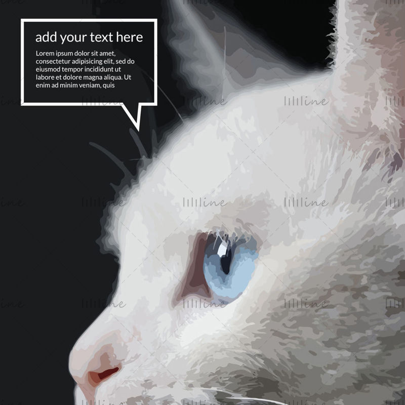 青い目の黒い背景を持つ白い猫