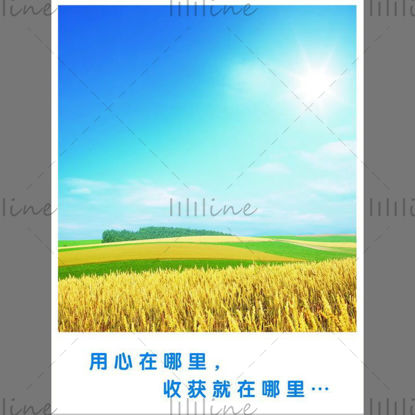 Altın Hasat Tarlası Çim Mavi Gökyüzü PSD Buğday Tarlası Poster Şablonu