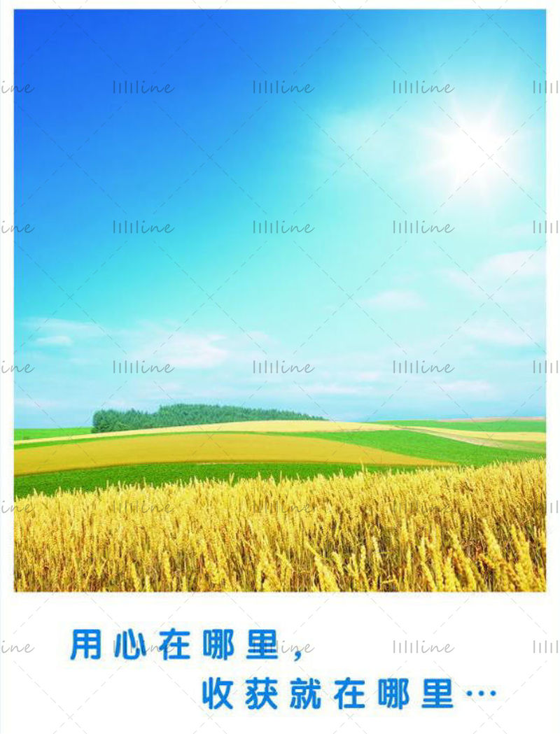 Golden Harvest Field Iarb Blue Sky PSD Camp de grâu Șablon de poster