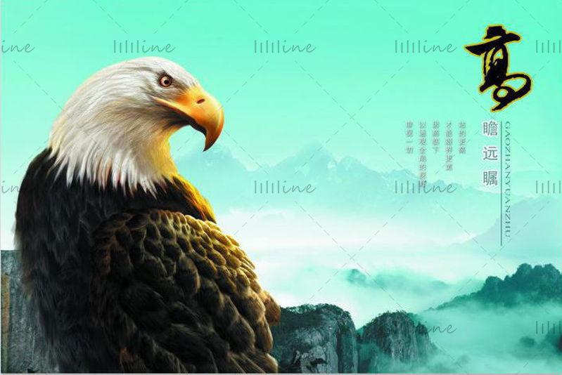Visionary Eagle poszter PSD sablon