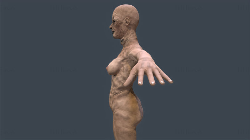 女性ゾンビ-ゲーム対応3Dモデル