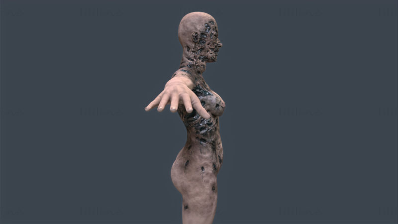 Female Zombie - Model 3D Game Ready
