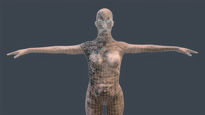 女性ゾンビ-ゲーム対応3Dモデル