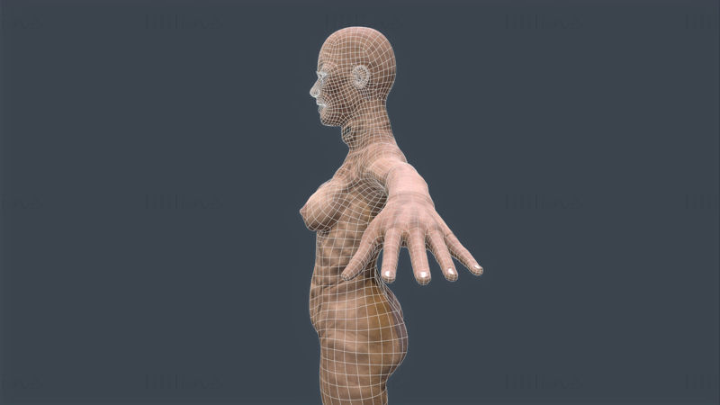 Женско зомби - 3D модел, готов за игра