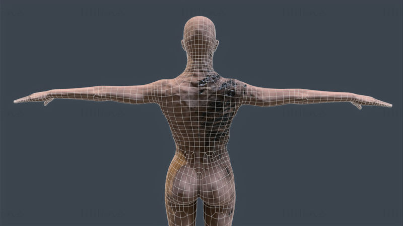 Женщина-зомби - готовая к игре 3D модель