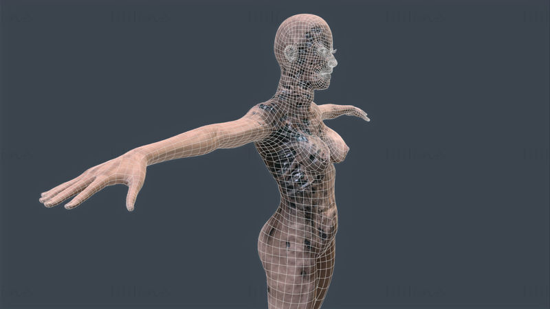 Zombie femminile - Modello 3D pronto per il gioco