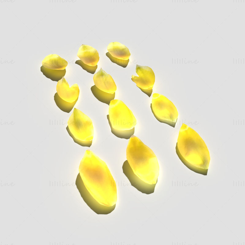 Tulip Petals 3D Model