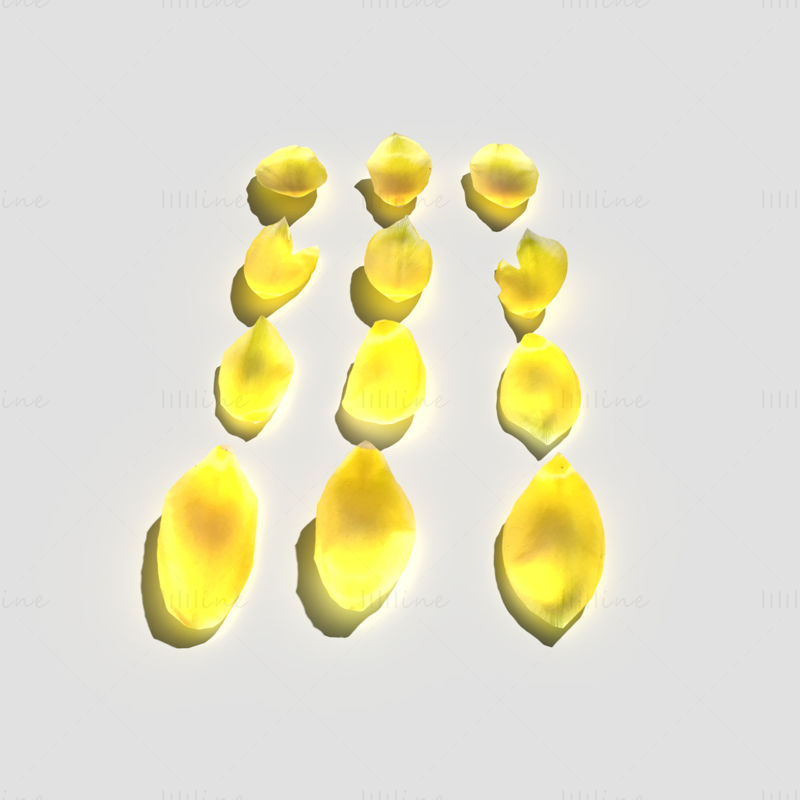 Tulip Petals 3D Model