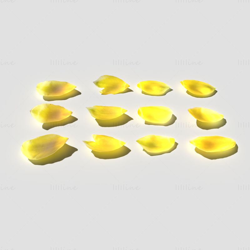 Tulip Petals 3D Model