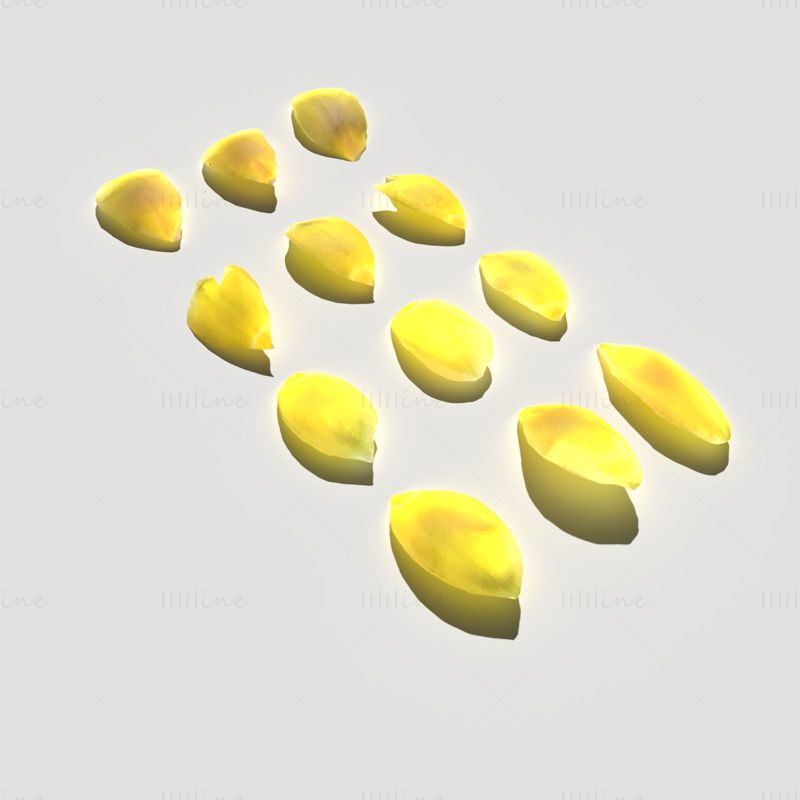 Tulip Petals 3D Model