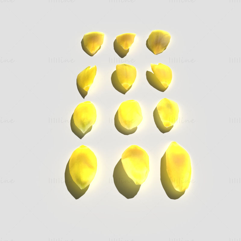 Tulip Petals 3D Model