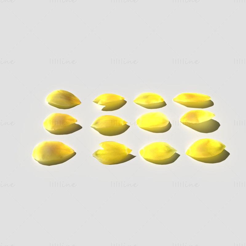 Tulip Petals 3D Model