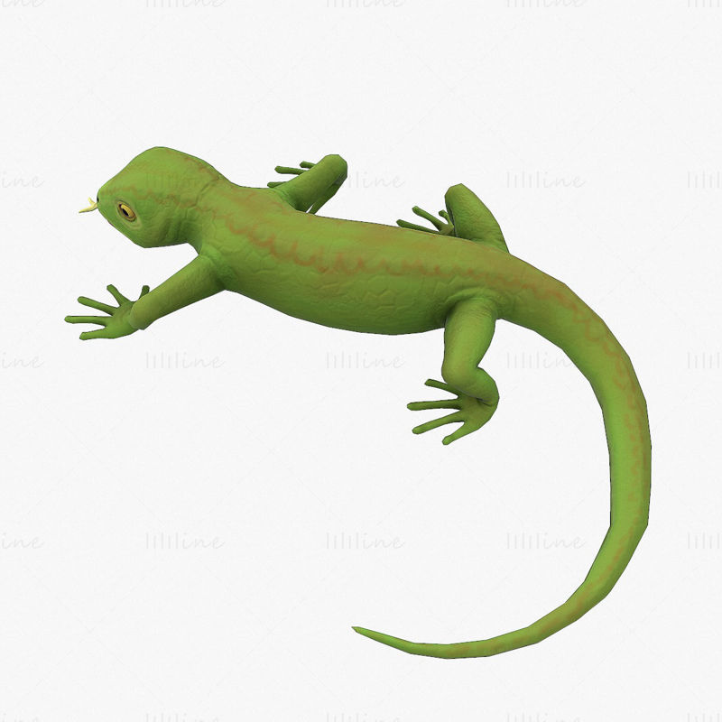 Lizard Rigged 3D-s modell