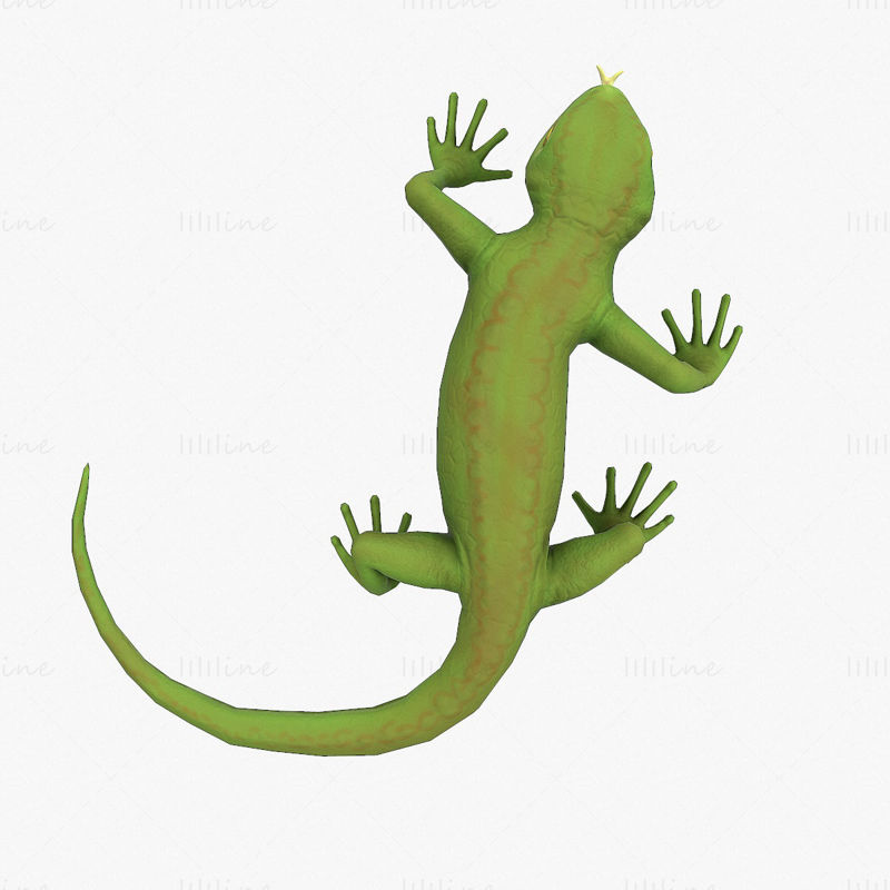 Lizard Rigged 3D модел