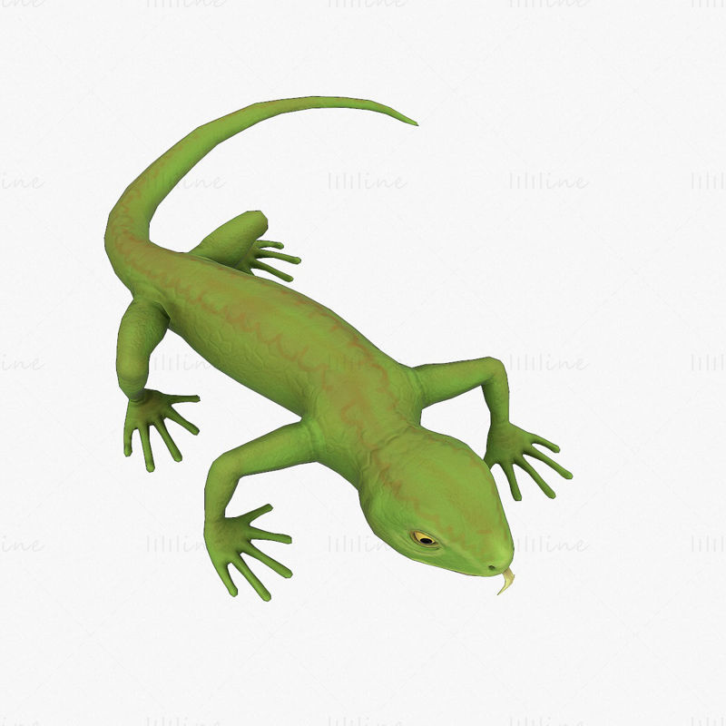 Lizard Rigged 3D Model