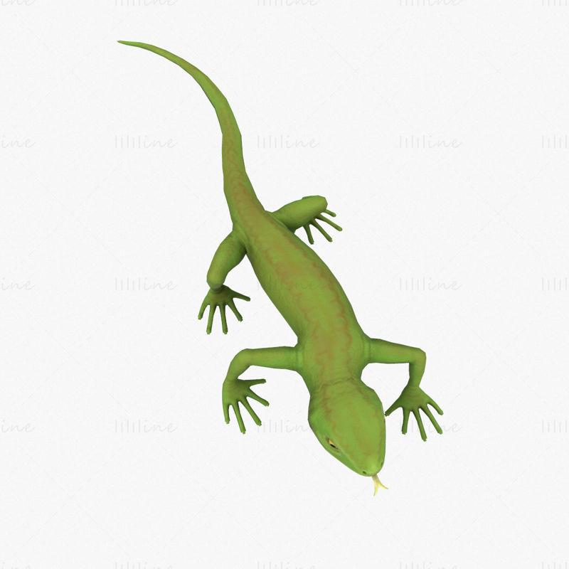 Lizard Rigged 3D-modell