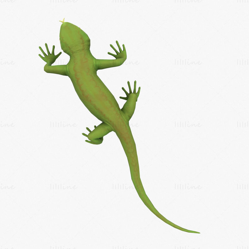 Lizard Rigged 3D-modell
