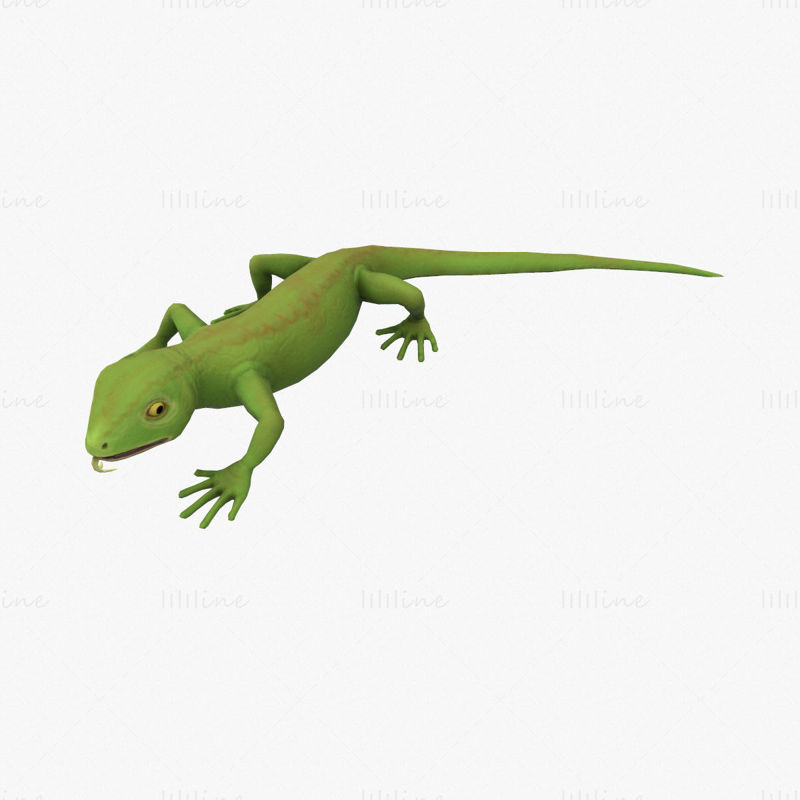 Lizard Rigged3Dモデル