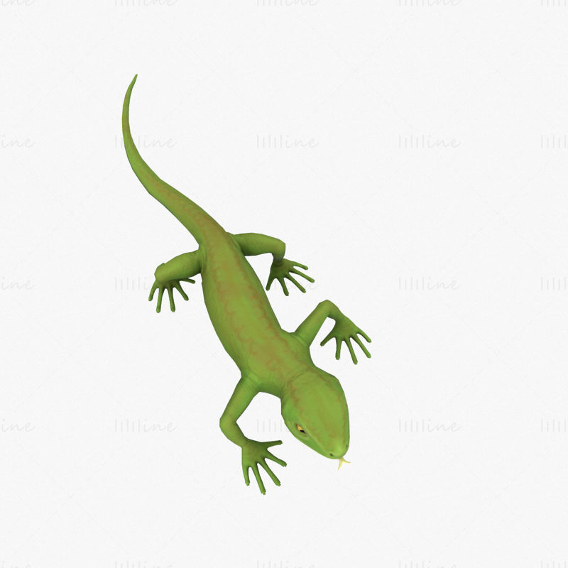 Lizard Rigged 3D Model