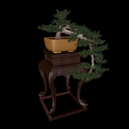 Model 3d bonsai chinezesc