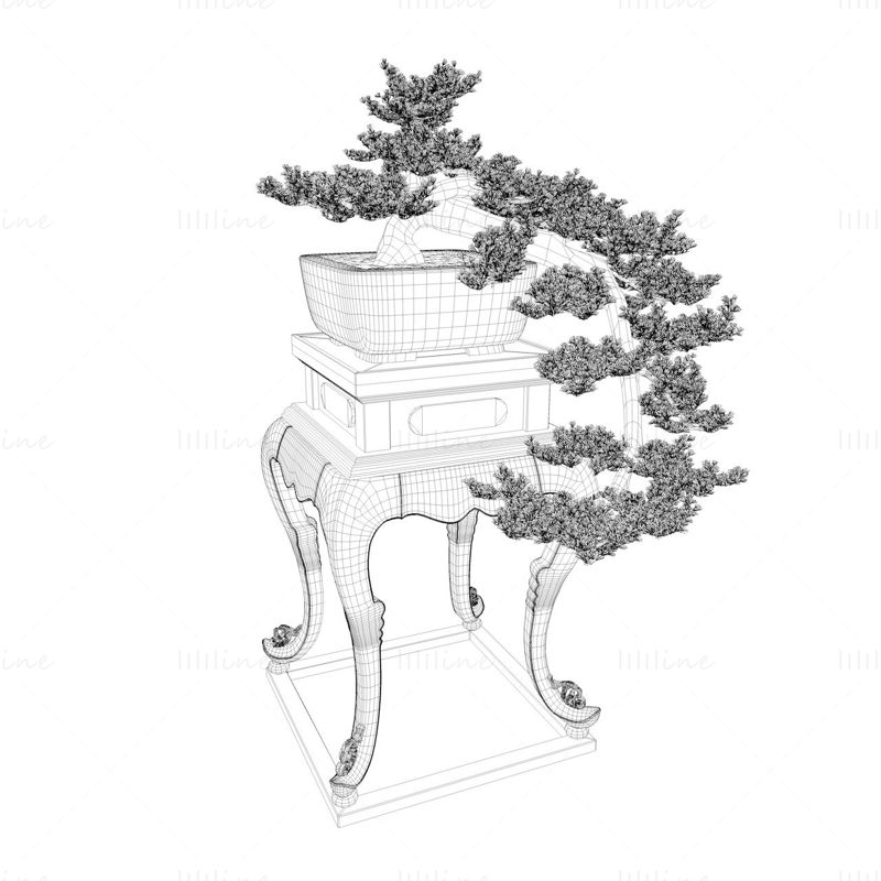 Model 3d bonsai chinezesc