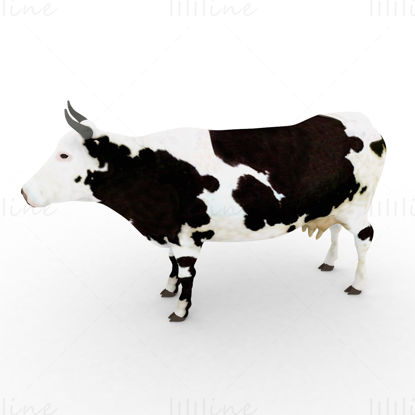 Dairy cattle 3d model