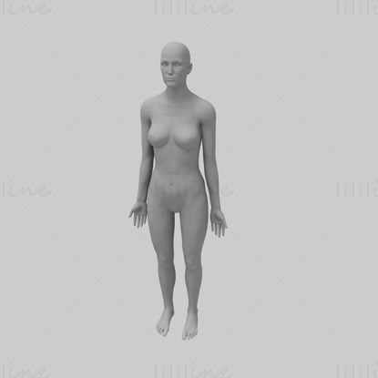 Női test alap hálós 3d modell