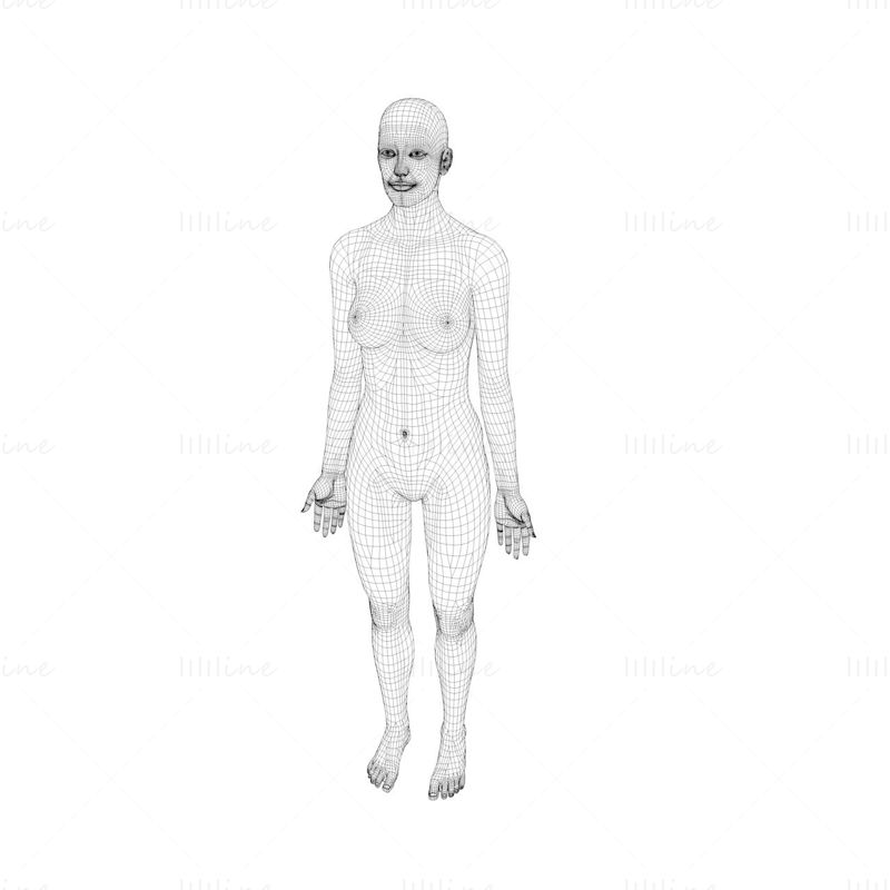 女性身体基础网格3d模型