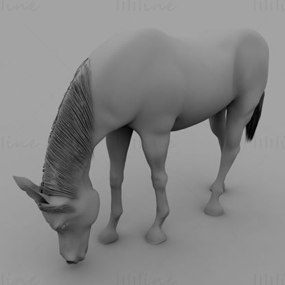 Legelő ló 3D-s modell