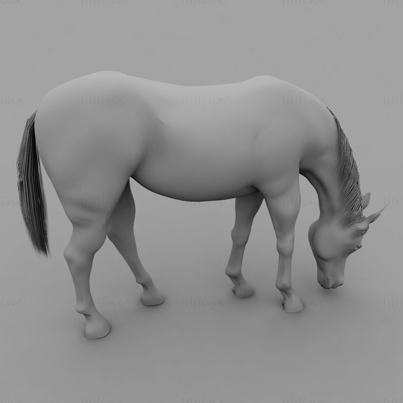 放牧马3d模型