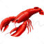 Red lobster vector