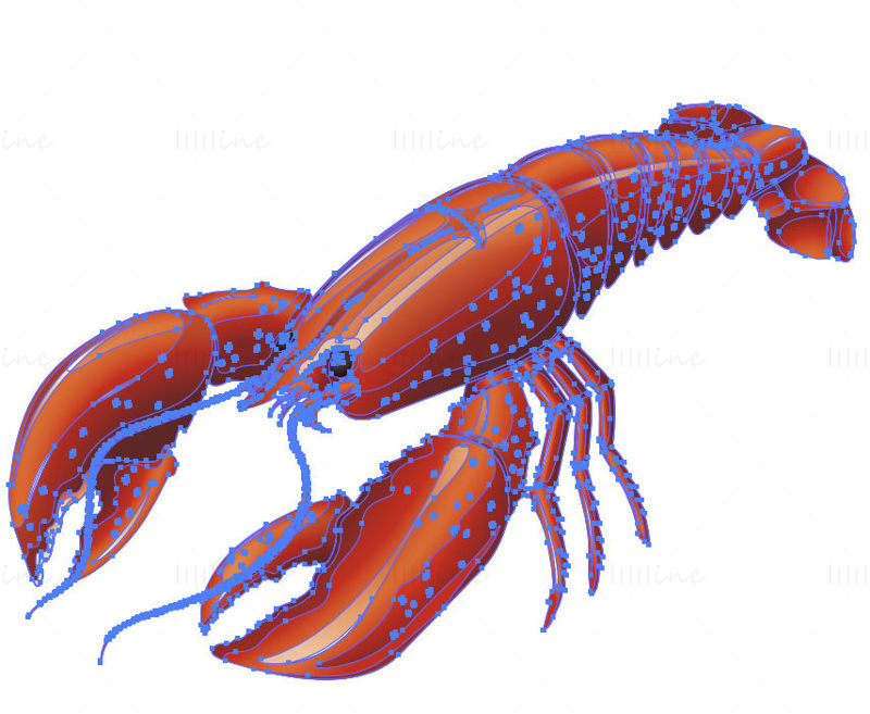 Red lobster vector