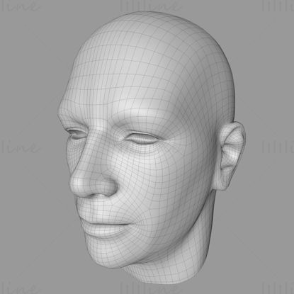 Férfi fej 3D-s modell